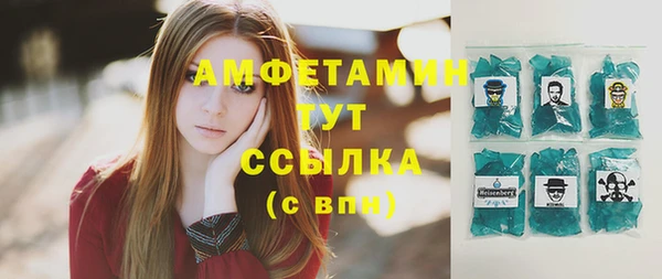 дмт Богданович