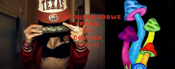 индика Белоозёрский