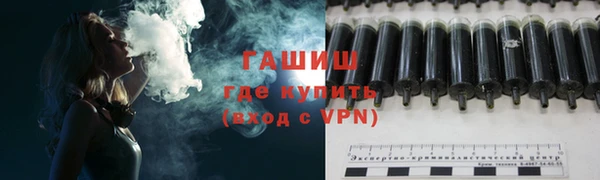 дмт Богданович
