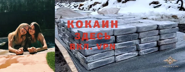 прущие крисы Белокуриха