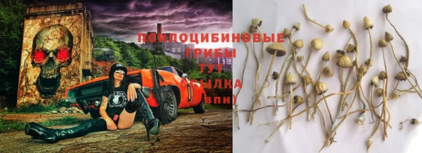 амф Беломорск