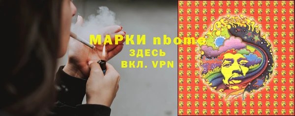 индика Белоозёрский