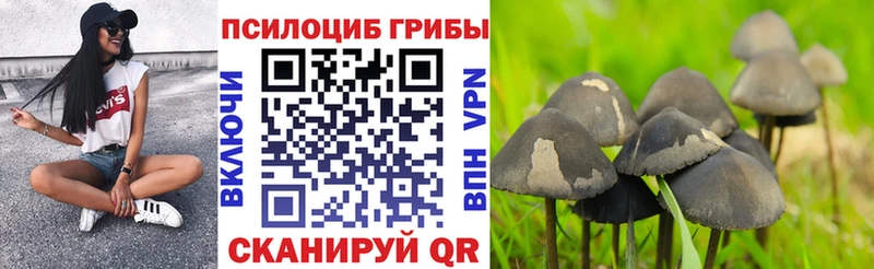 Псилоцибиновые грибы GOLDEN TEACHER  ОМГ ОМГ сайт  Болгар 